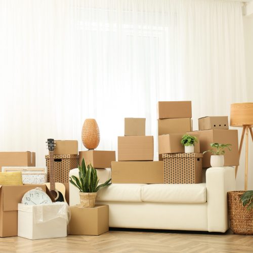 Cardboard,Boxes,,Potted,Plants,And,Household,Stuff,Indoors.,Moving,Day